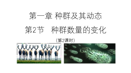 血细胞计数板课件 高中生物