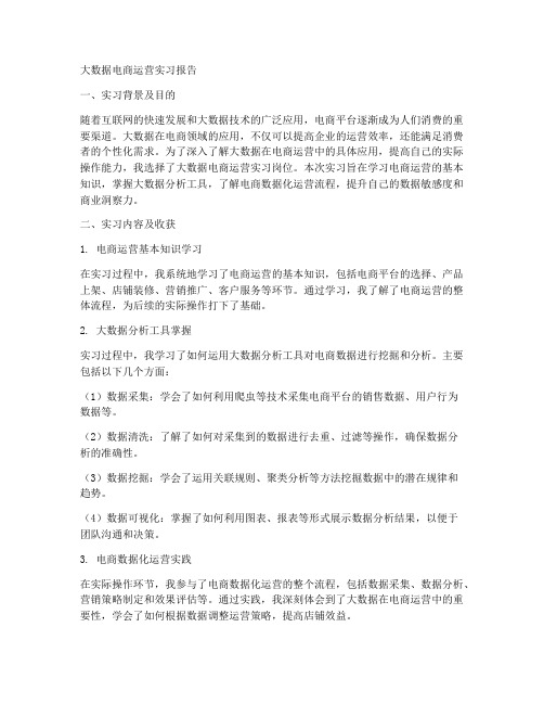 大数据电商运营实习报告