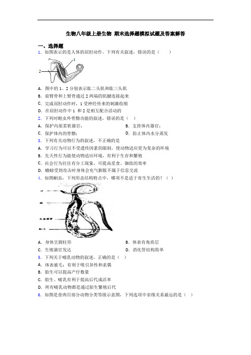 生物八年级上册生物 期末选择题模拟试题及答案解答