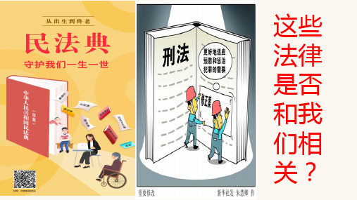 人教版道德与法治八年级上法不可违课件(共26张PPT)