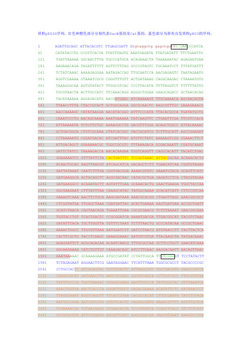 质粒pKD3S序列