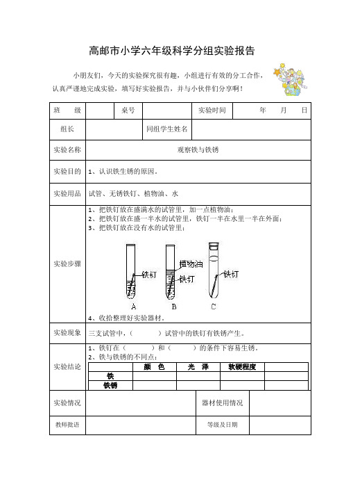 7六上《观察铁与铁锈》实验报告