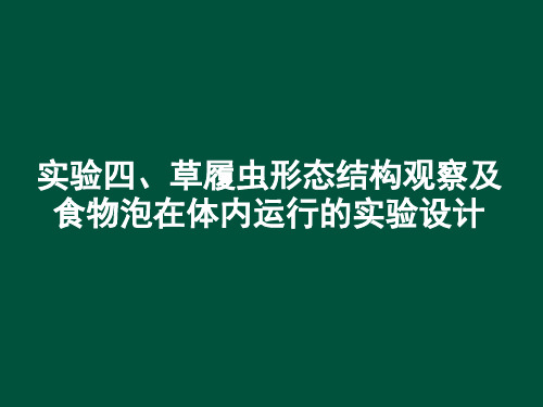 4草履虫形态结构观察及食物泡在体内运行的实验设计