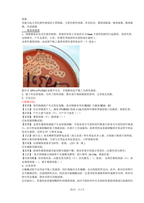 4、球菌检验程序(详细版)——医学检验资料文档