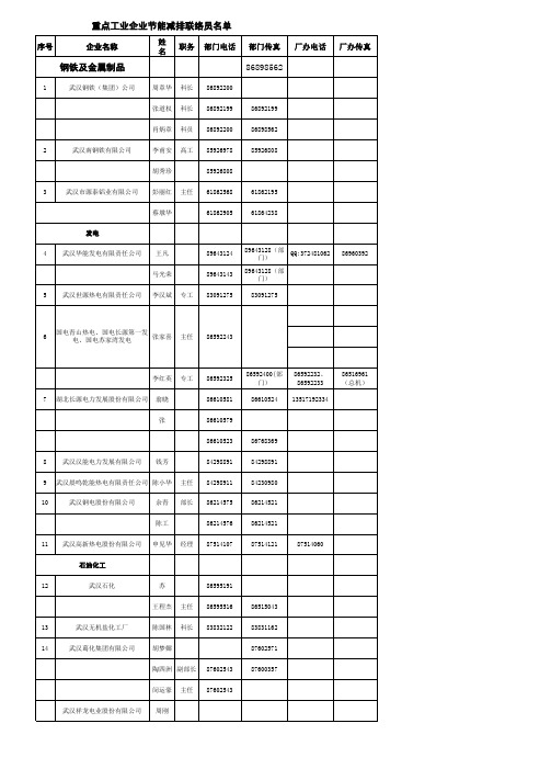 重点耗能企业