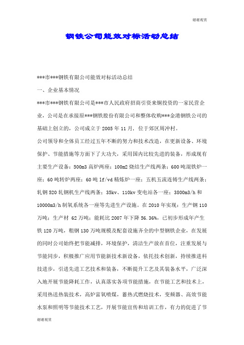 钢铁公司能效对标活动总结.doc