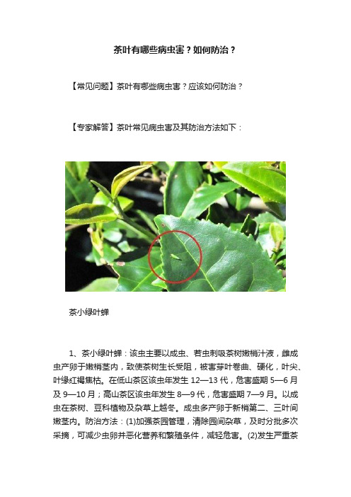 茶叶有哪些病虫害？如何防治？