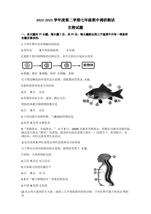 江苏省淮安市淮阴区2022-2023学年七年级下学期期中调研测试生物试题