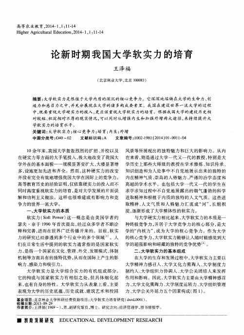 论新时期我国大学软实力的培育