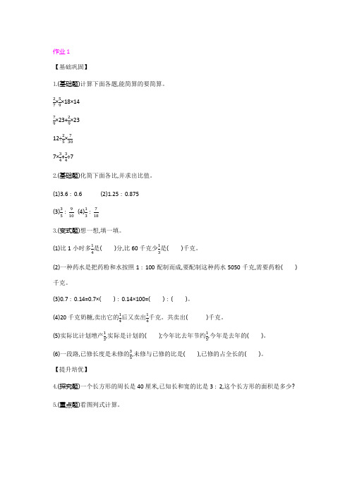 北师大版小学六年级数学上册总复习 1 数与代数 同步练习试题(含答案)