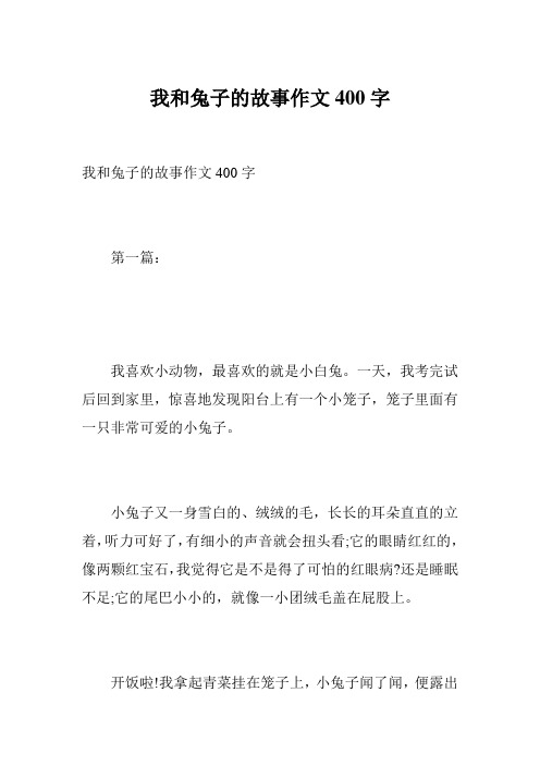 我和兔子的故事作文400字