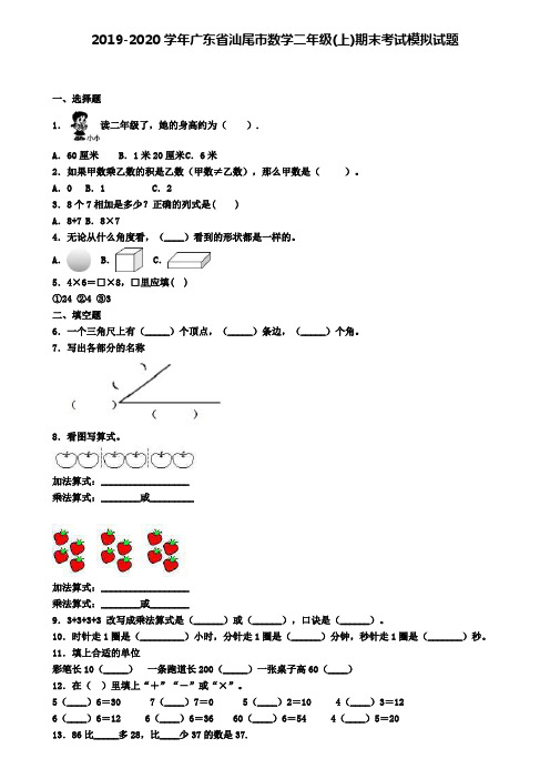 2019-2020学年广东省汕尾市数学二年级(上)期末考试模拟试题