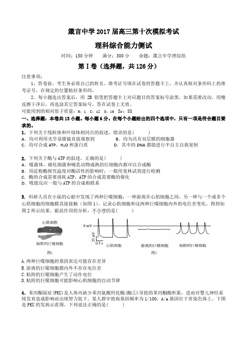 湖南省益阳市箴言中学2017届高三第十次模拟考试理综试卷(含答案)