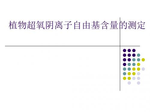 12.23号生理实验-超氧阴离子