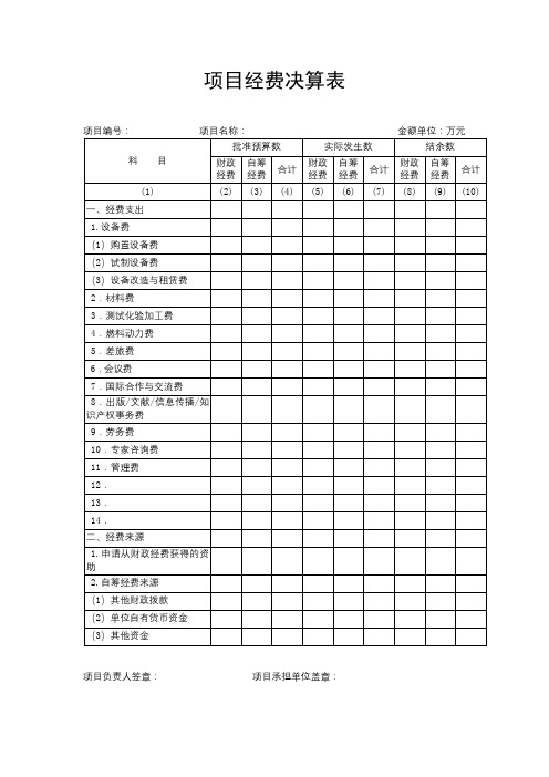 项目经费决算表【模板】