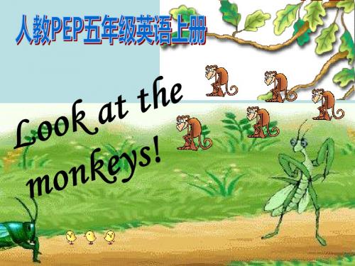 人教PEP版英语五下《unit 5 look at the monkeys》PPT课件之九[全国英语教师素养大赛一等奖课件]