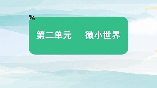 第二单元  《地球的运动》单元复习六年级上册科学教科版