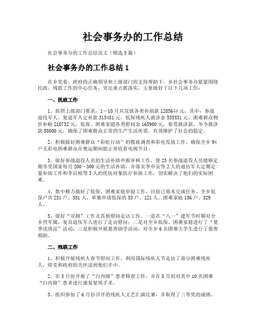 社会事务办的工作总结