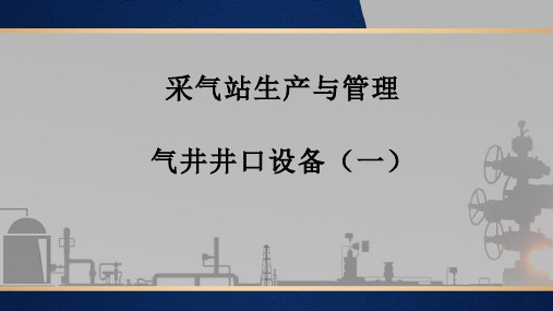 采气井站生产与管理：气井井口设备(一)