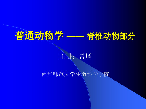 第1章脊索动物门主要特征曾燏ppt课件