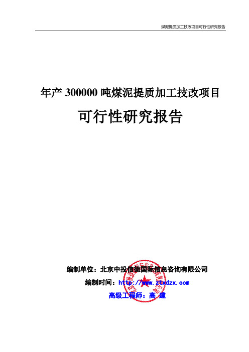 年产300000吨煤泥提质加工技改项目可行性研究报告