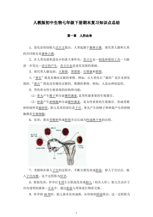 人教版初中生物七年级下册期末复习知识点总结
