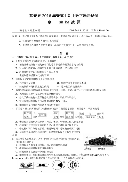 湖北省黄冈市蕲春县2015-2016学年高一下学期期中考试生物试题