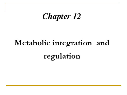 分子生物学英文课件：Chapter12 Regulation of metabolism