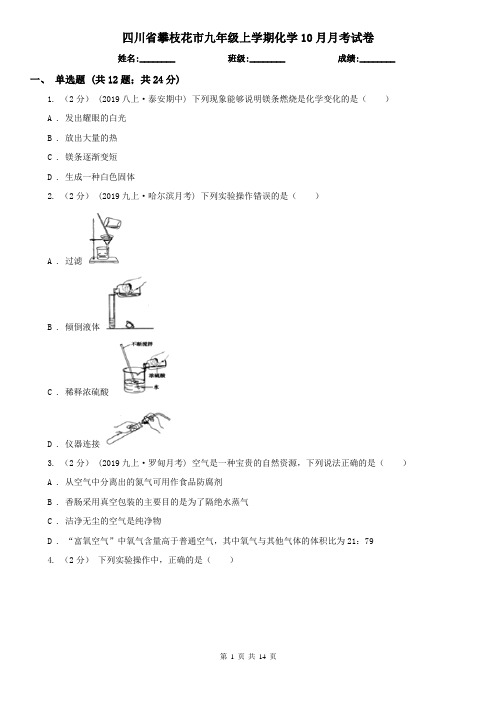 四川省攀枝花市九年级上学期化学10月月考试卷