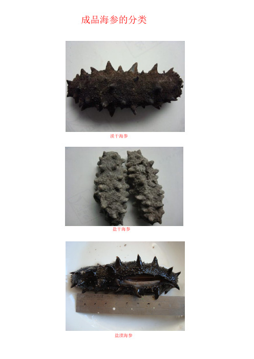 成品海参的分类