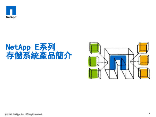 NetApp E系列存储系统产品简介