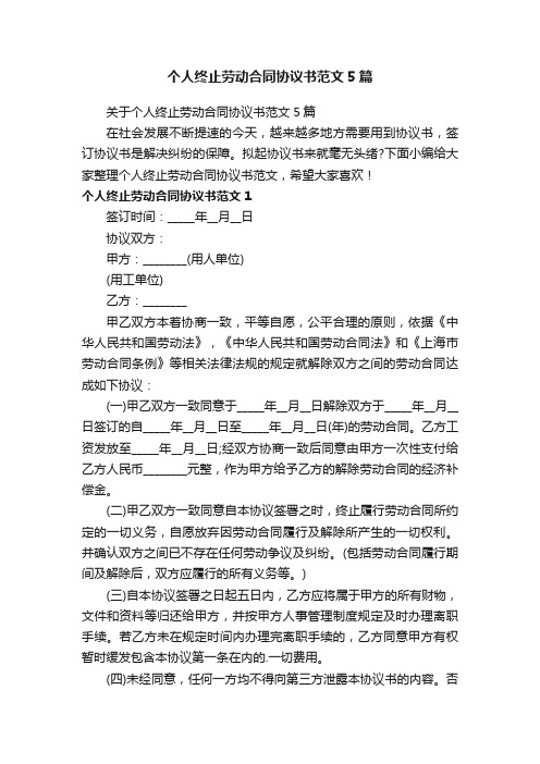 关于个人终止劳动合同协议书范文5篇