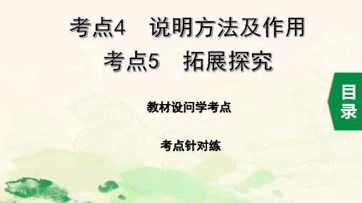 2020中考语文一轮复习课件第三部分现代文阅读专题二说明文考点4   说明方法及作用、考点5   拓展探究