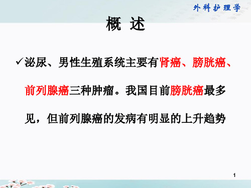 泌尿男性生殖系统肿瘤病人的护理PPT课件