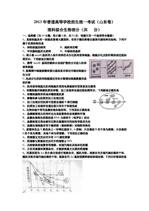 13年生物生物高考真题(山东卷)含答案