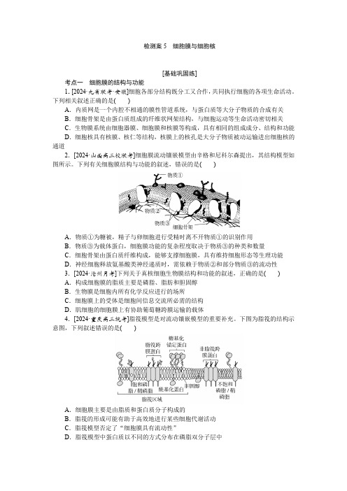 2025版《师说》高中全程复习构想生物定项检测案5