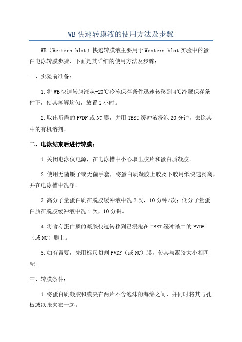 WB快速转膜液的使用方法及步骤