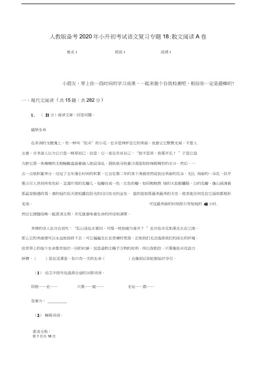 人教版备考2020年小升初考试语文复习专题18：散文阅读A卷