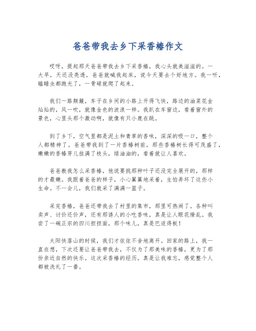 爸爸带我去乡下采香椿作文