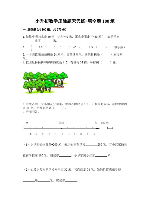 小升初数学压轴题天天练-填空题100道带答案(新)