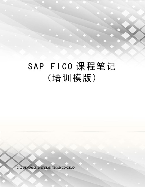 sapfico课程笔记(培训模版)