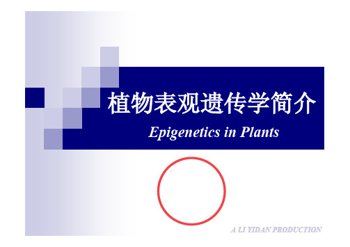 植物表观遗传学简介