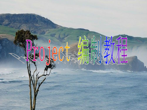 Project编制教程2007