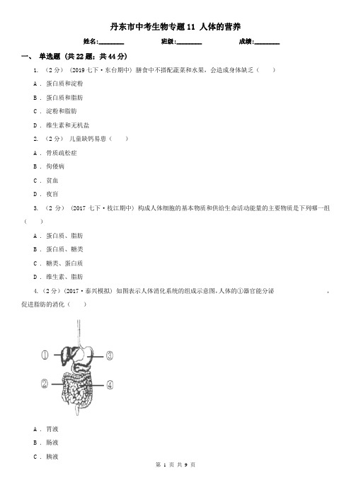 丹东市中考生物专题11 人体的营养