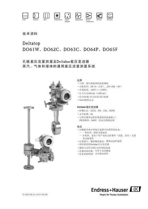 E+H 一体式孔板流量计