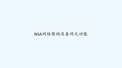 NSA网络架构及各网元功能 PPT