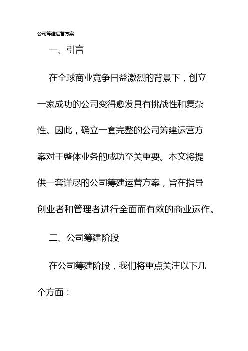 公司筹建运营方案