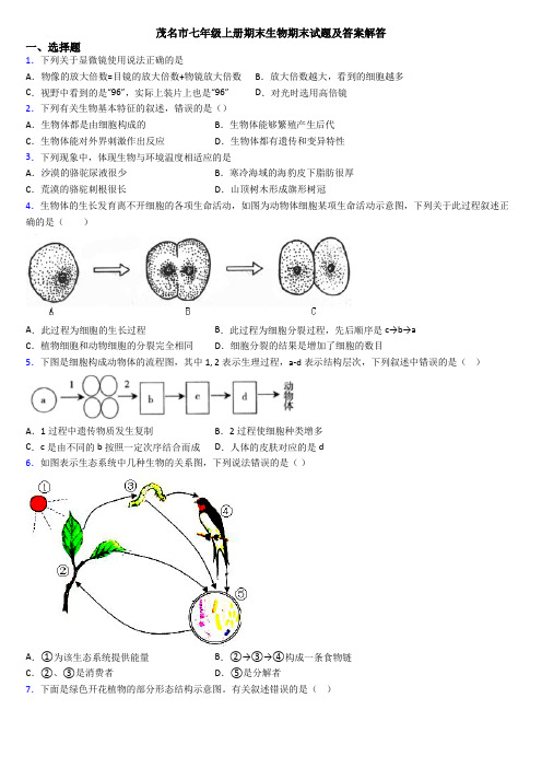 茂名市七年级上册期末生物期末试题及答案解答