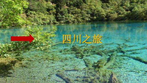 第五组四川之旅