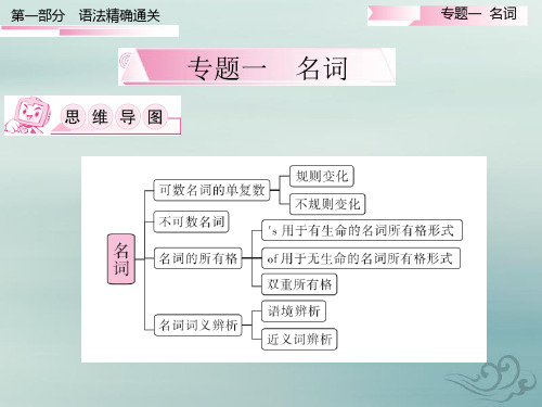 2020广东中考英语一轮语法精准通关(课件)专题一 名词(共32张ppt)